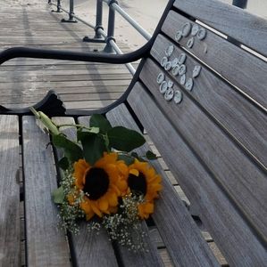 Meet your Posher, Eneida